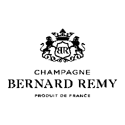 Bernard-Remy-Logo