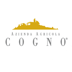 Elvio Cogno LOGO