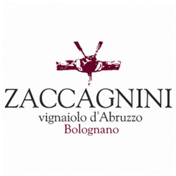 Zaccagnini-logo